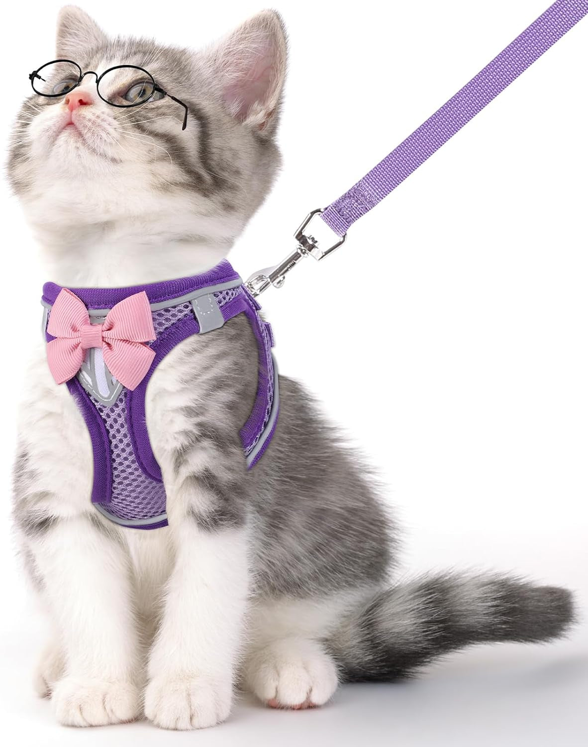 Reflective cat harness & leash set, lila mit rosa Schleife und verstellbaren Riemen