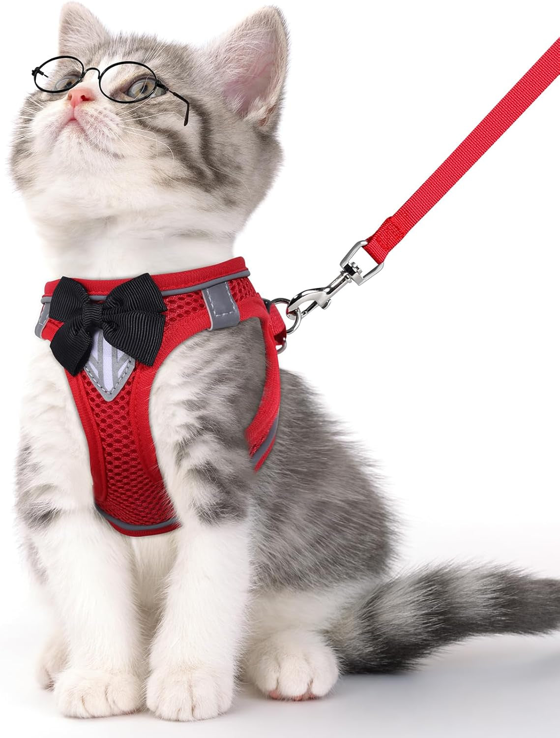 Reflective cat harness & leash set, rot mit schwarzer Schleife und verstellbaren Riemen