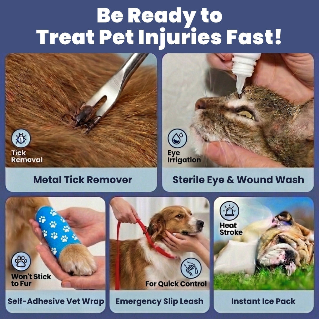 Pet first aid items showing bandage wrap, tick remover, and sterile wash for pets