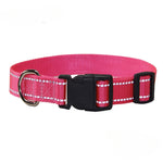 Red dog collar and leash set with reflective-style stripe, black buckle clasp, D-ring.