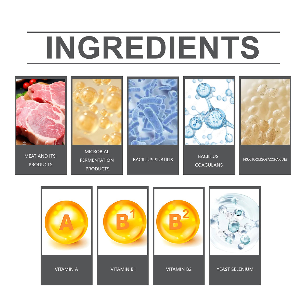 Probiotic tablet ingredients chart with meat, microbial, bacillus and vitamins