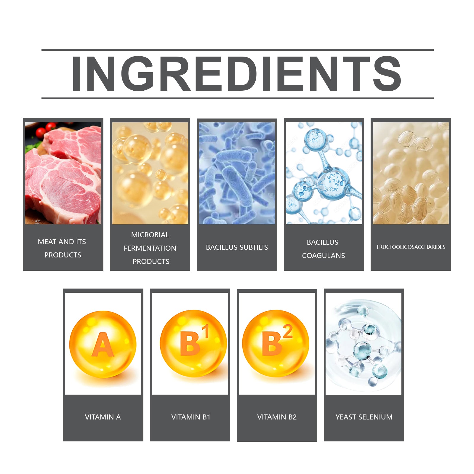 Probiotic tablet ingredients chart with meat, microbial, bacillus and vitamins