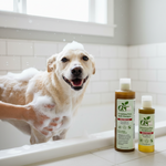 Pet shampoo and conditioner set bottles with pump dispenser, gold and amber tones.