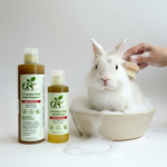 Pet shampoo and conditioner bottles beside a white rabbit in a white bowl, amber tones.