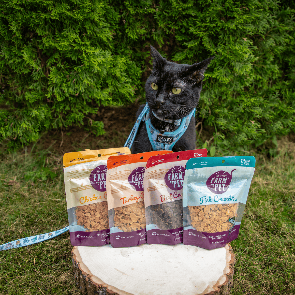 Beef Crumbles cat treat pouch on a table in front of a cat outdoors