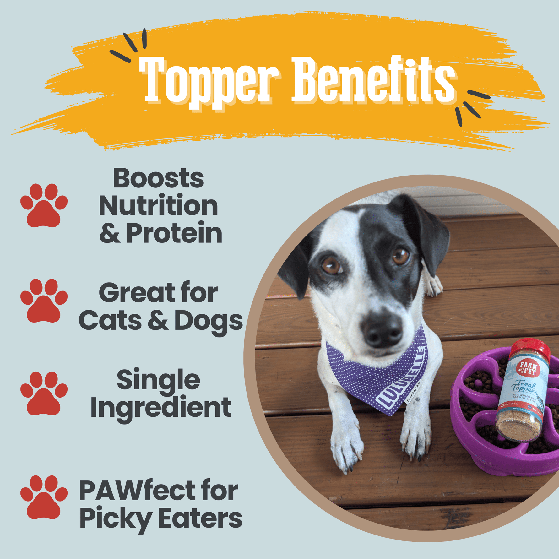 Fish treat topper jar with red lid beside infographic listing benefits for dogs and cats.