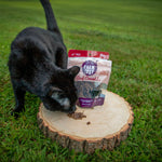 Beef Crumbles cat treat pouch beside a few crumbs on a wooden log slice