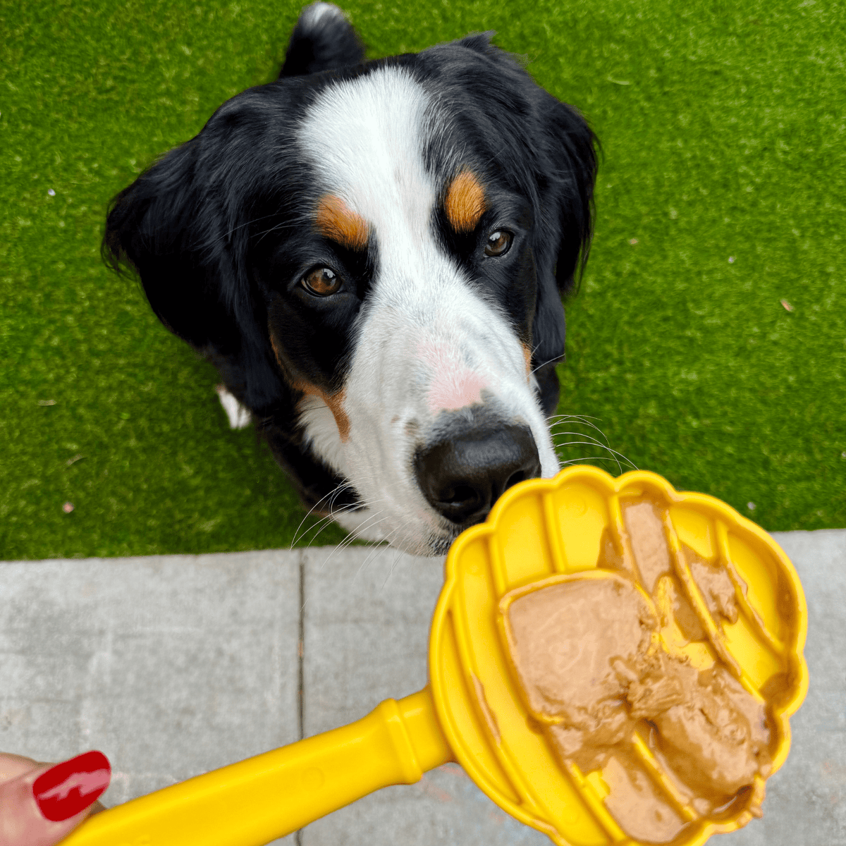 Yellow beehive-shaped dog lick toy with long handle, filled with spread treat.