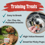 Fish chips dog training treats shown with pouch and hand offering a treat piece