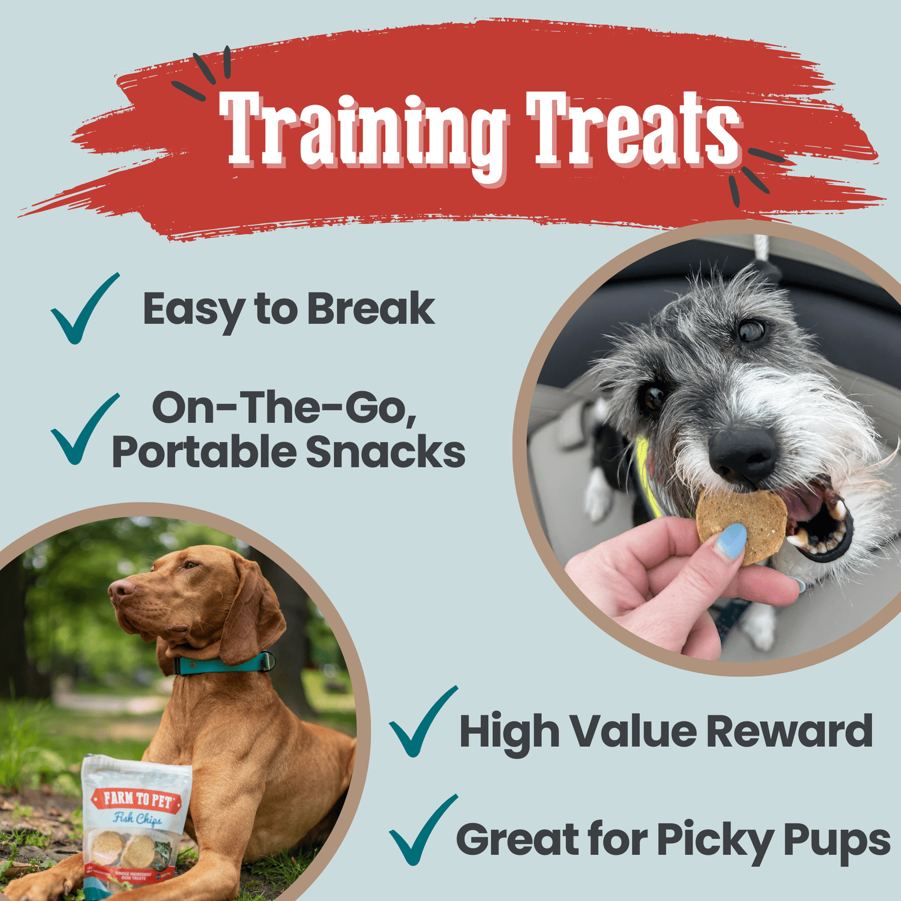 Fish chips dog training treats shown with pouch and hand offering a treat piece
