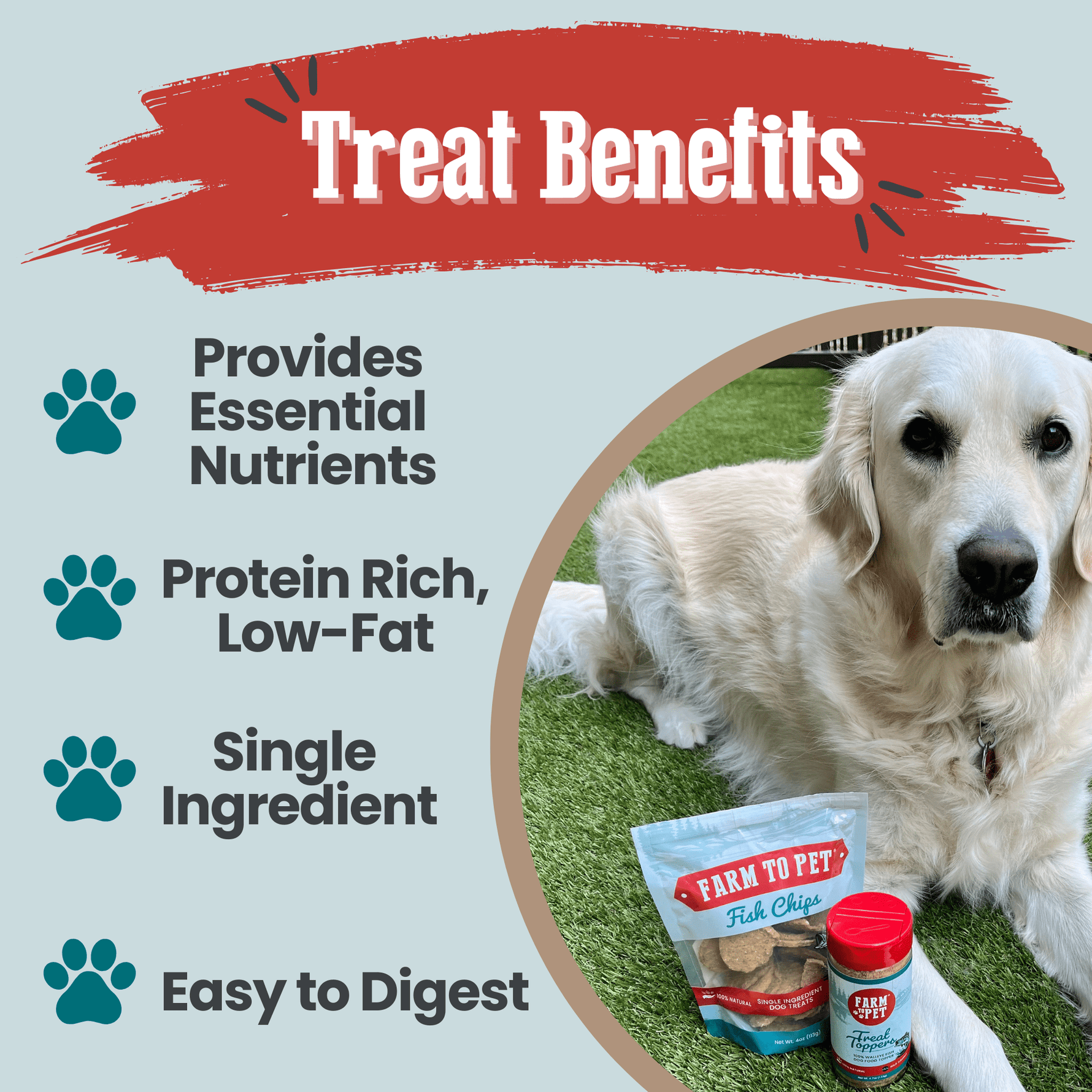 Fish chips dog treats pouch beside a white dog on grass; small round treats
