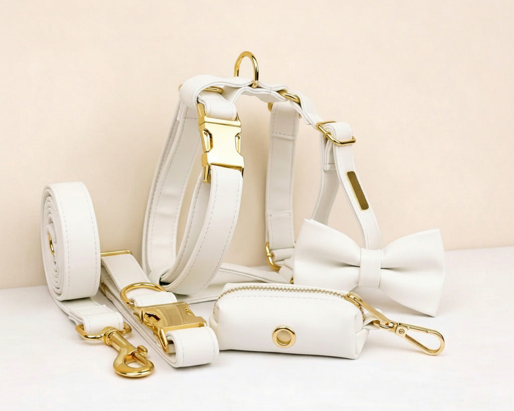 White leather dog set with bowtie collar, leash, and harness; gold hardware accessories