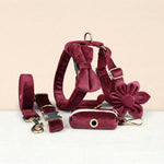 Red wine velvet pet accessory set with collar, leash, harness, bowtie, flower, and pouch