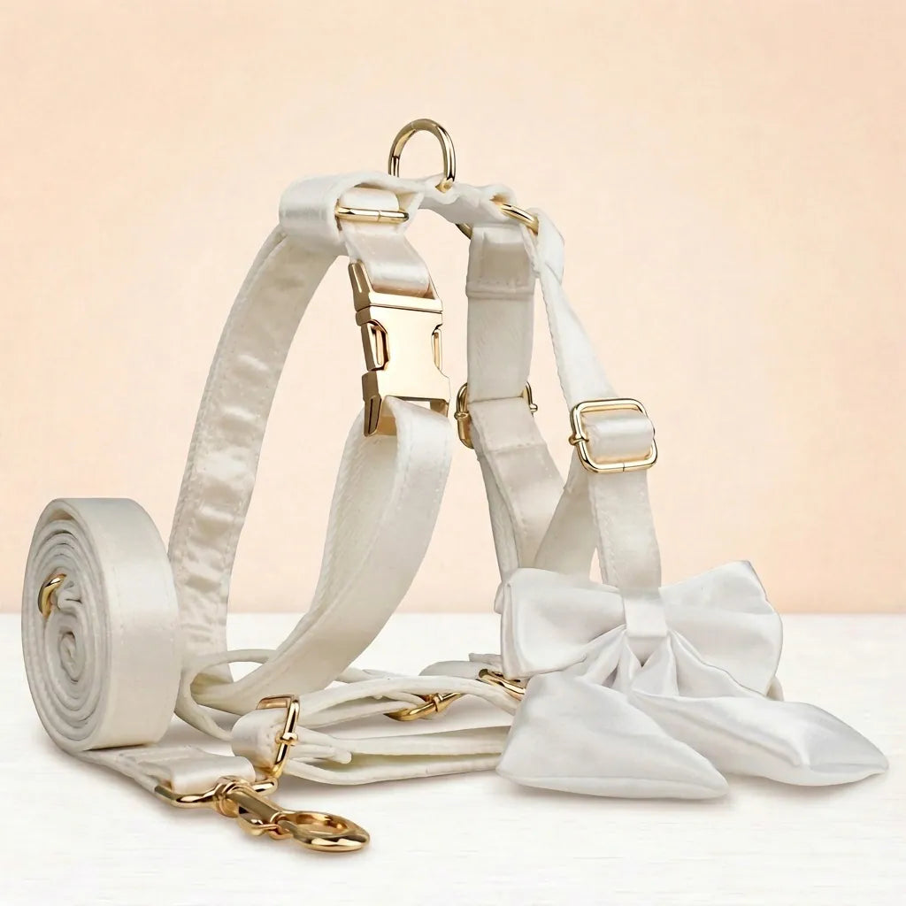 White satin pet collar and bowtie set with gold hardware, leash, and harness