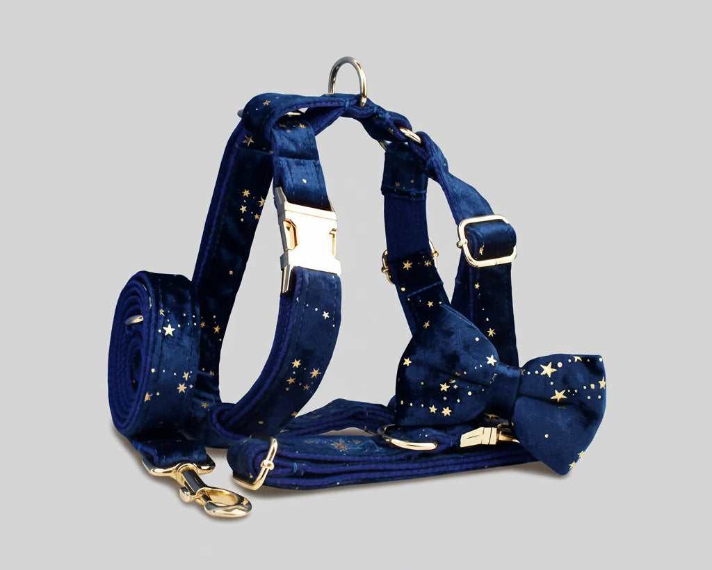 Dark blue velvet pet harness set with leash, star print, and gold metal hardware