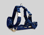 Dark blue velvet pet harness set with leash, star print, and gold metal hardware