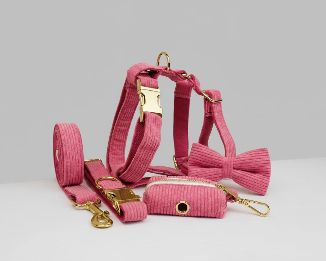 Red corduroy pet set: collar, harness, leash, plus bow tie