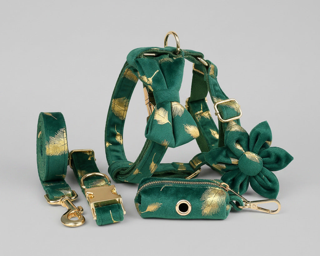 Green feather velvet dog set: collar, leash, harness and bowtie with gold hardware