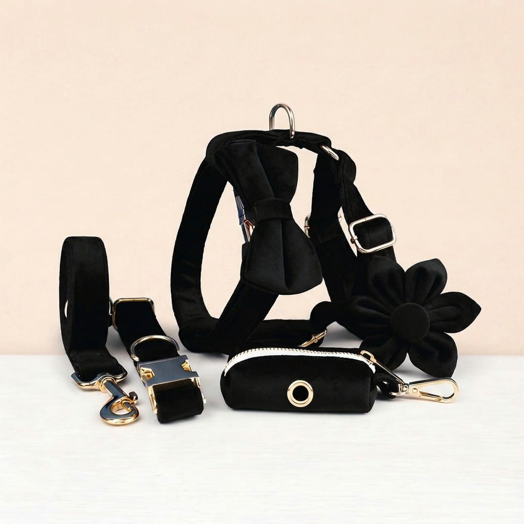 Black velvet dog collar, leash, and harness set with bowtie and poop bag holder