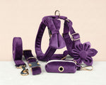 Velvet purple pet set: harness, leash, collar, bow flower detail