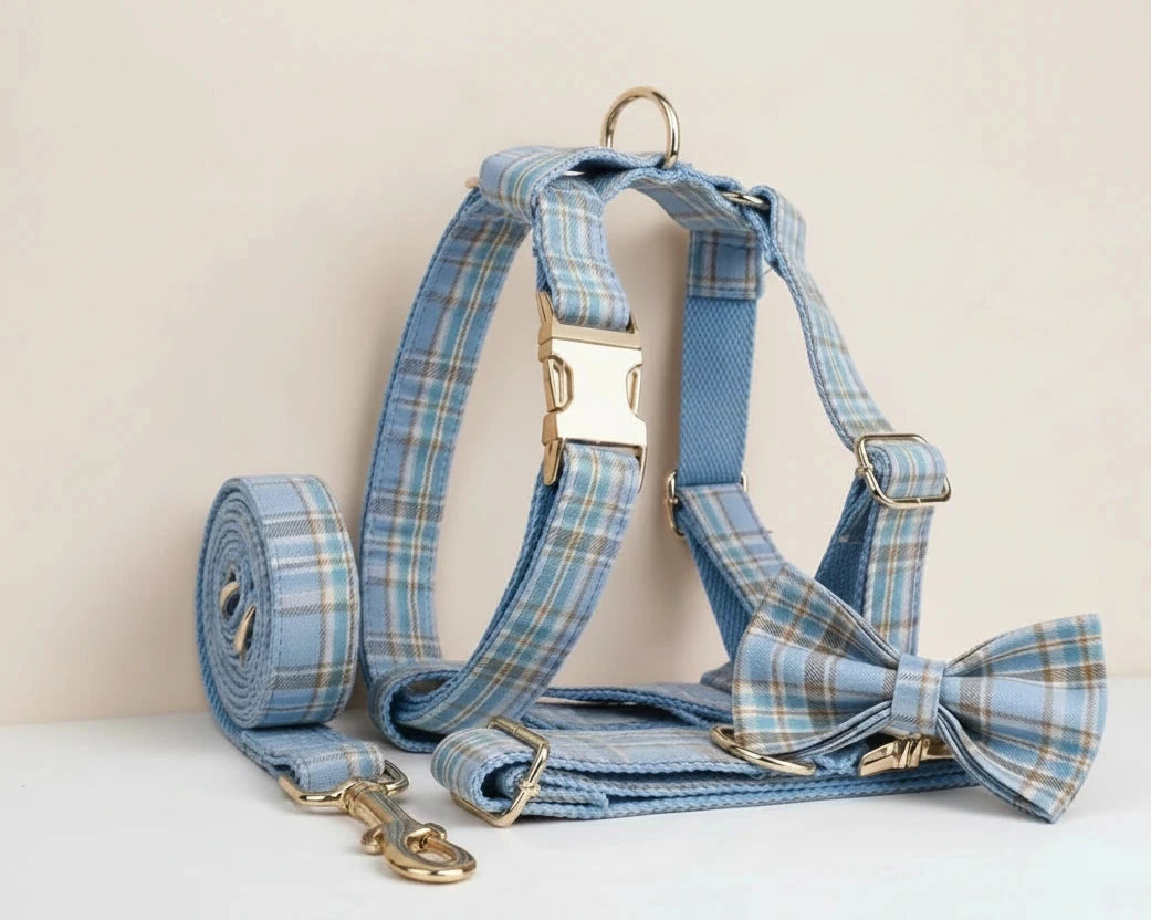 Blue plaid pet harness with matching leash and bow tie, gold buckles