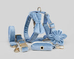 Blue velvet collar set with bowtie, leash and matching accessories
