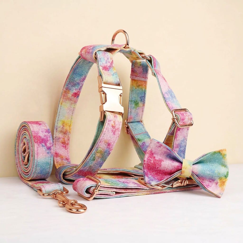 Pet collar and leash set with rainbow watercolor print and rose-gold hardware