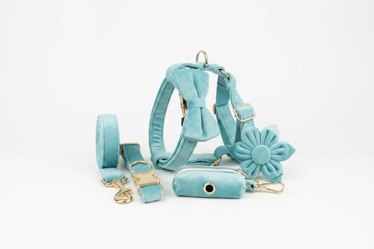 Turquoise velvet bowtie collar set with matching leash and flower accent