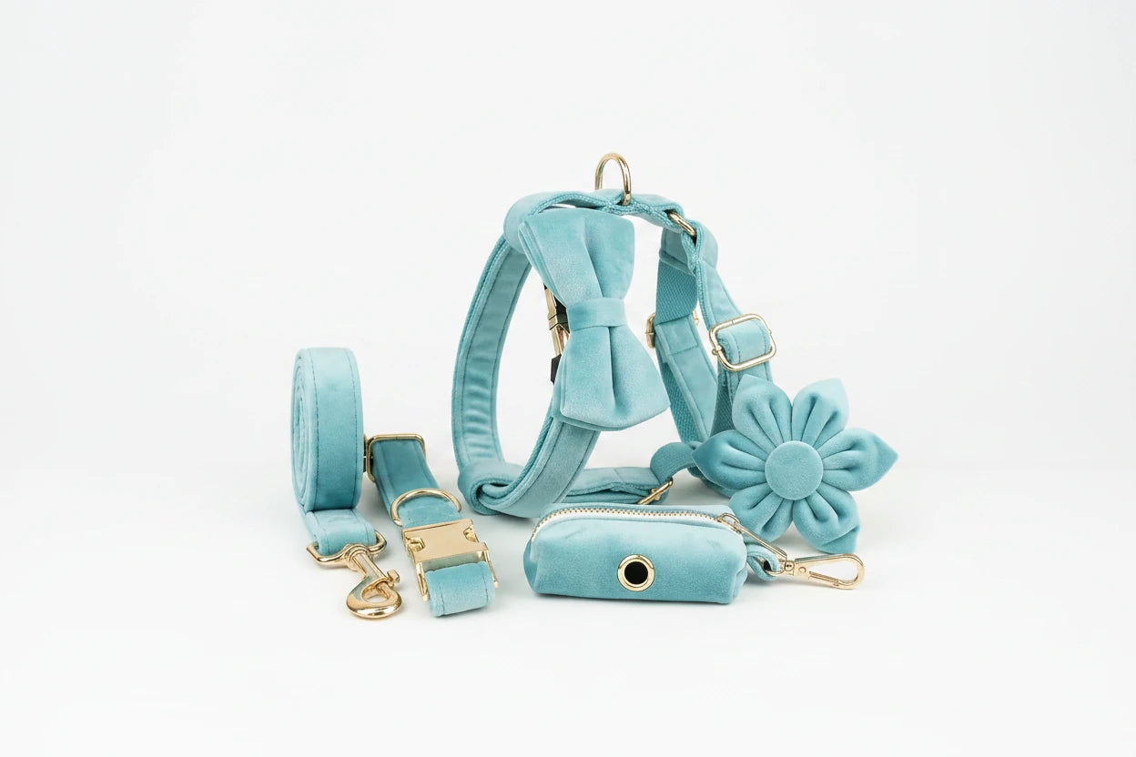 Turquoise velvet bowtie collar set with matching leash and flower accent