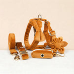 Orange velvet pet harness set with collar, leash, bowtie, flower, and poop bag holder