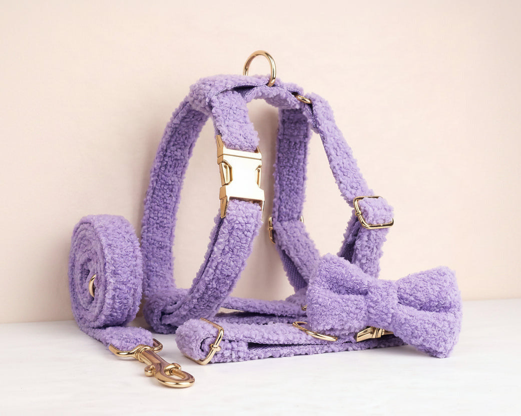 Purple teddy harness set with gold buckles, D-rings, and matching leash