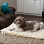 Natural/cream plush mat pet bed with raised border, small dog lying on it