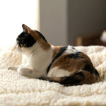 Natural/cream plush mat pet bed with raised border, cat resting on it