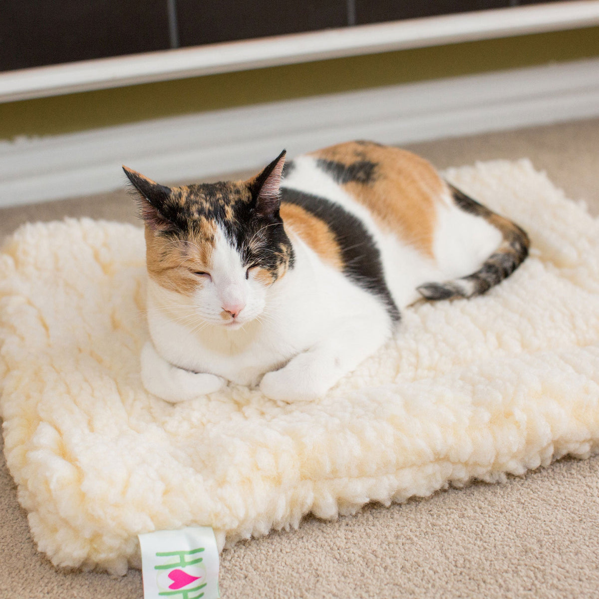 HuggleFleece® pet bed in natural cream with thick cushioned plush surface