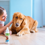 Salmon-flavored dog oral care gel bottle with pump, near seated dog