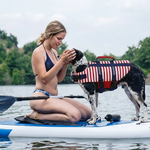 Dog life jacket with red-and-white stripes, navy harness straps, and safety handle