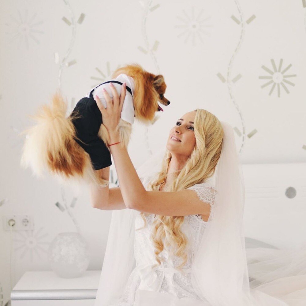 White pet shirt and black vest-style pants with black bow tie