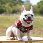 Red tropical pet shirt with colorful palm leaves and pineapple print, snap-button style