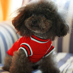 Red mesh basketball pet jersey on dark-haired dog with “BALLS 23” style design