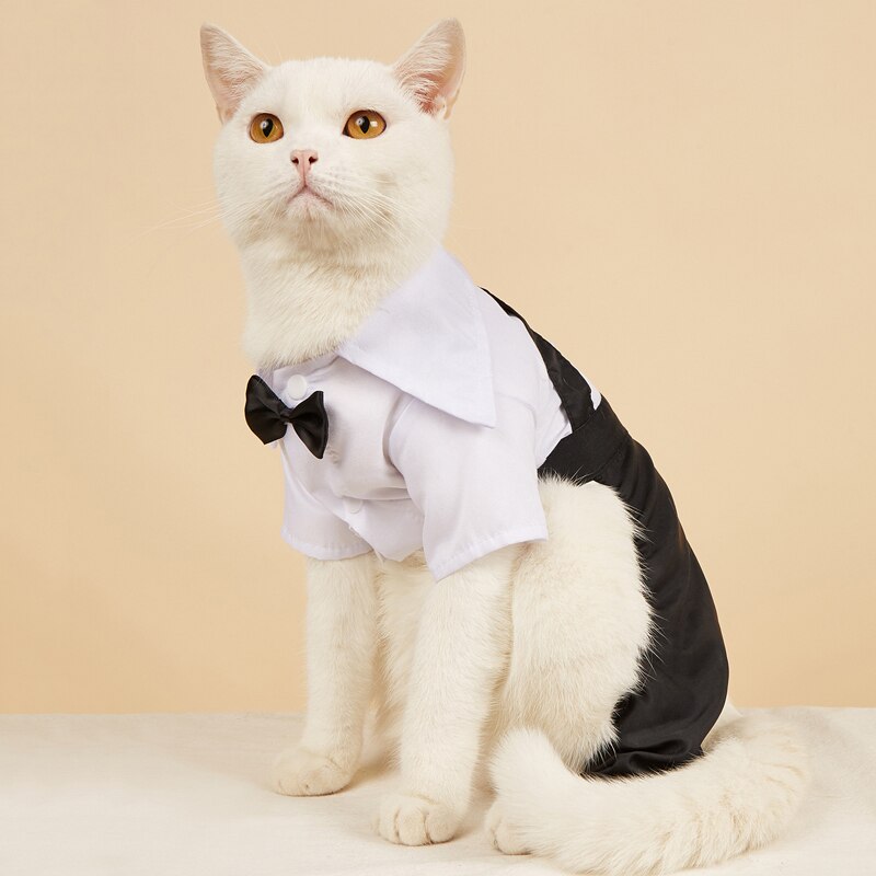 White cat costume with black bow tie and black-and-white fitted suit