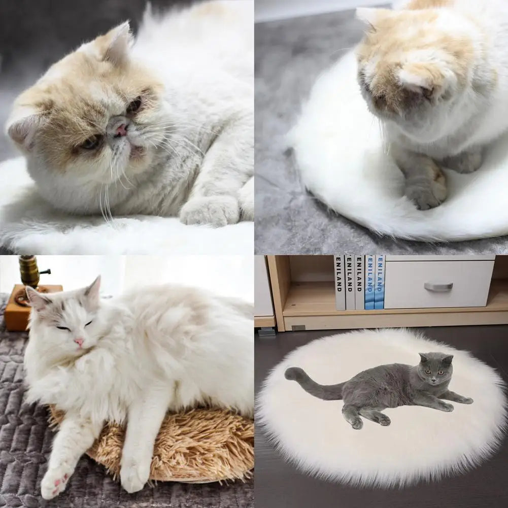 Electric heating pet bed mat with plush covers, showing cats resting on gray and beige