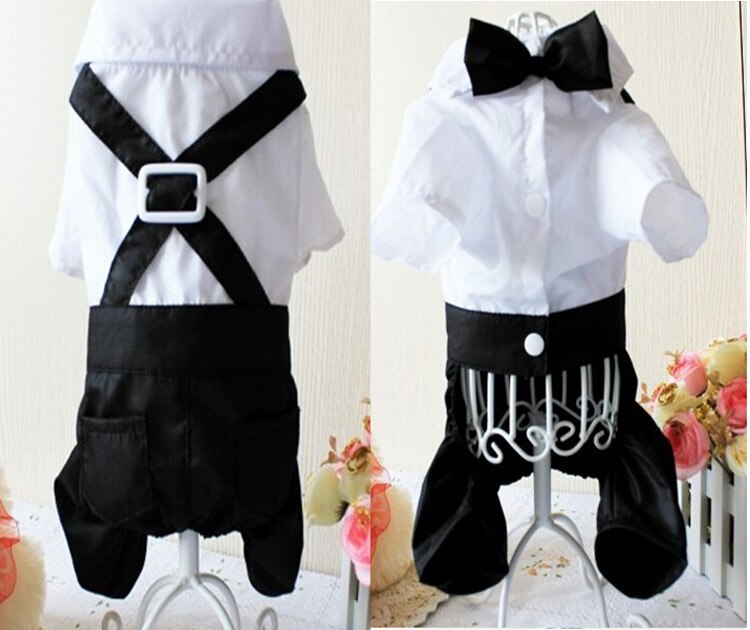 White and black pet suit with black bow tie and X-back harness strap