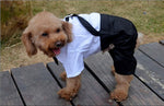 White shirt and black pants pet costume with black bow tie detail