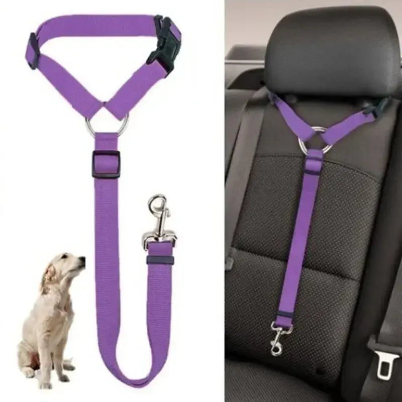 Pet car seat belt & harness safety strap in purple with metal clips
