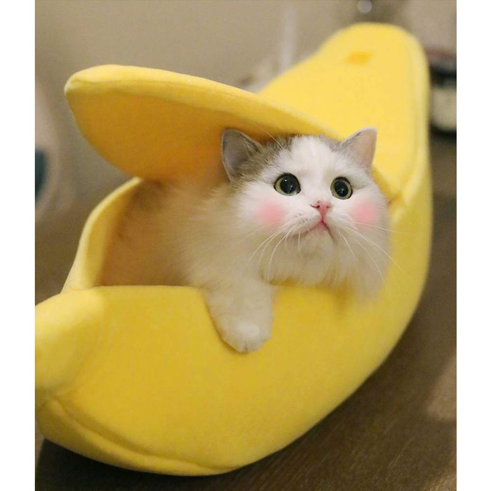 Banana pet bed with yellow banana cradle and soft rim, white cat resting inside.