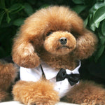Tuxedo pet suit: white shirt with black bow tie detail, cute bow at chest