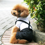 White pet shirt with black overalls and black bow tie for small dogs