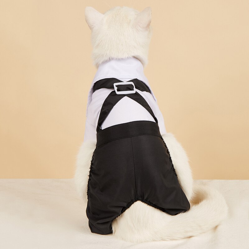 White pet suit with black back sash and belt buckle detail