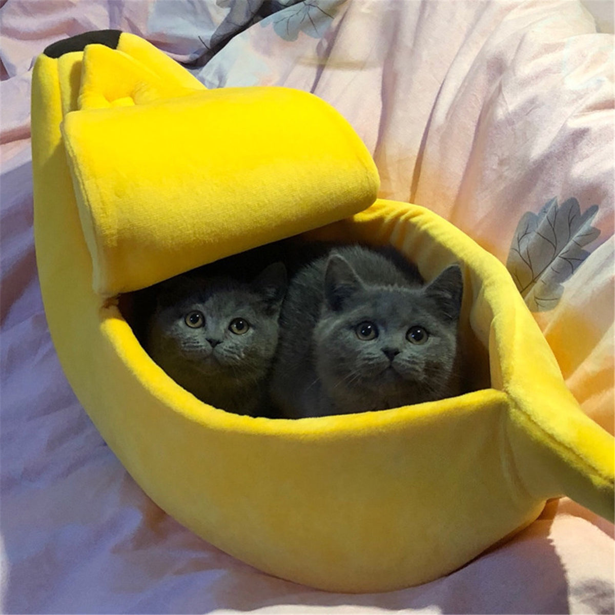 Banana pet bed, yellow cushioned banana cradle with rounded opening, two pets inside.