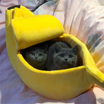 Banana pet bed, yellow cushioned banana cradle with rounded opening, two pets inside.